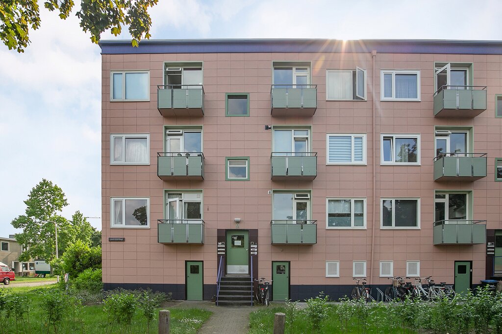 MN11447-24359-106862838