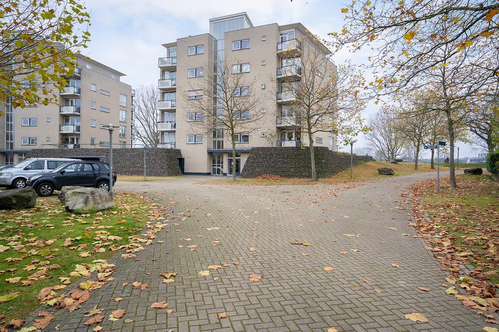 MN11466-24963-116381251