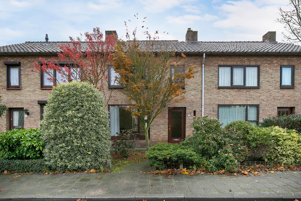 MN11476-25290-116532878