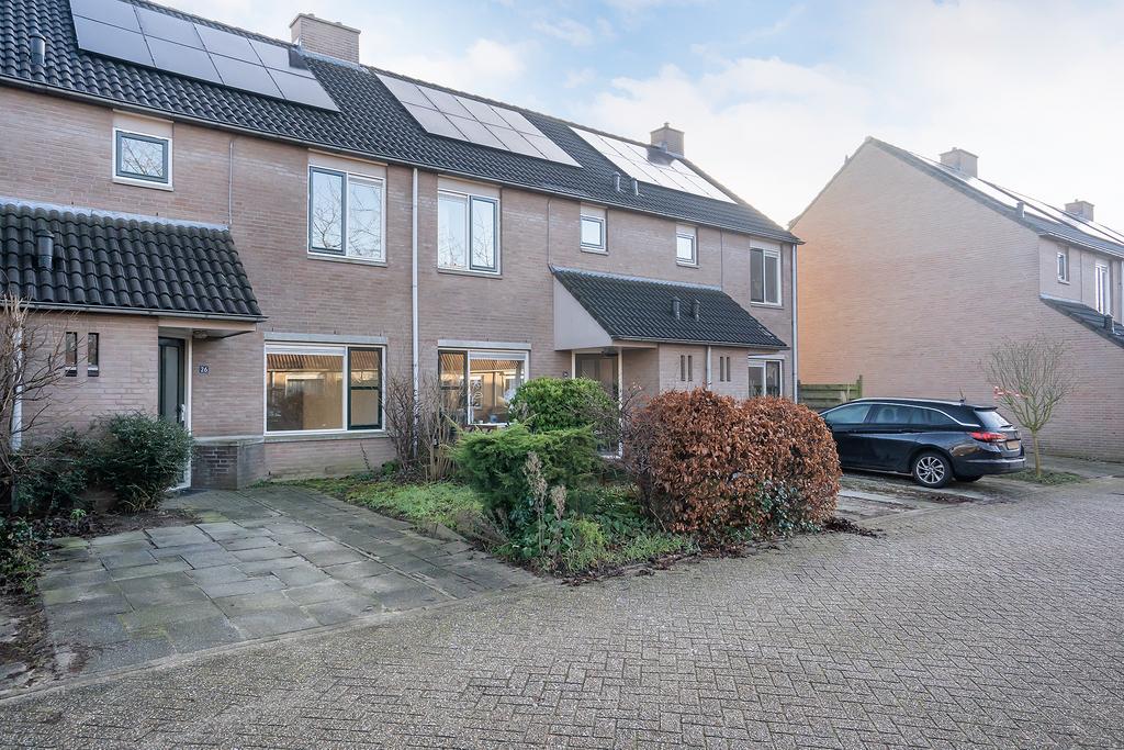 MN11481-25448-118784039