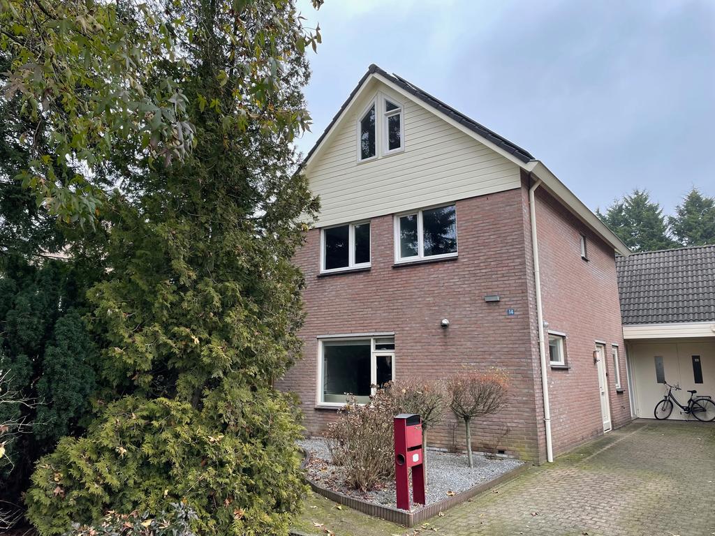 MN11485-25556-119370254