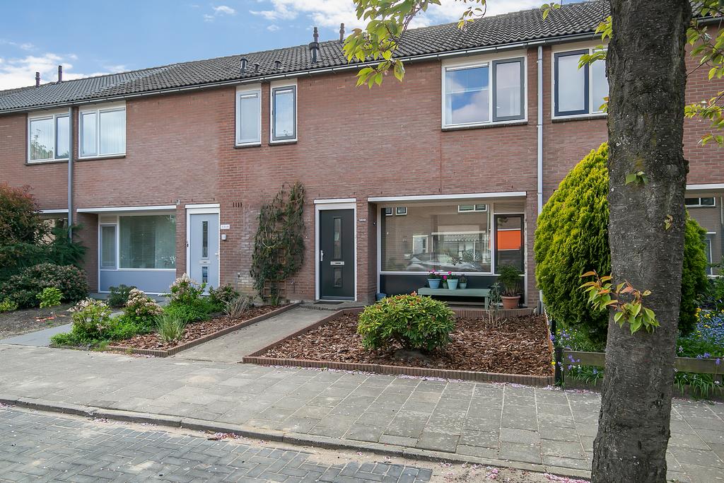 MN11497-25931-124014329