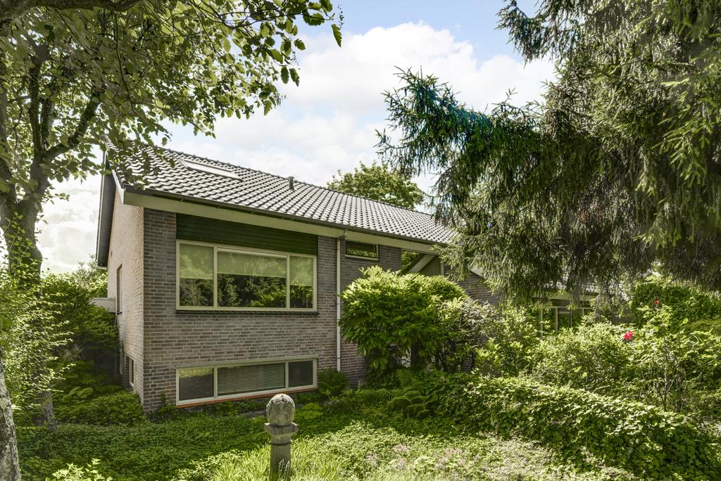 MN11507-26279-126694594