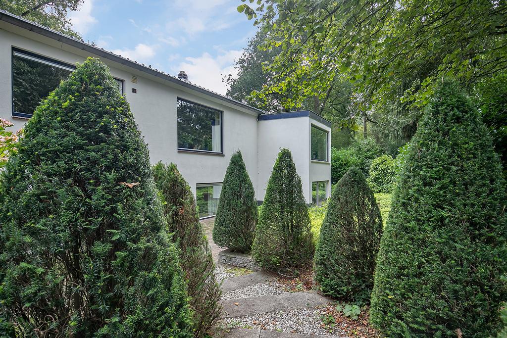 MN11540-20069-132054566