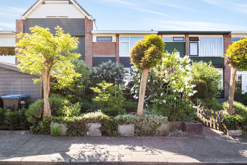 MN11549-20383-132673896