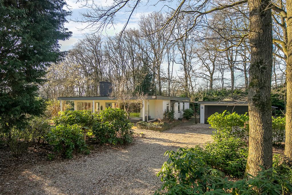 MN11571-21056-138331889