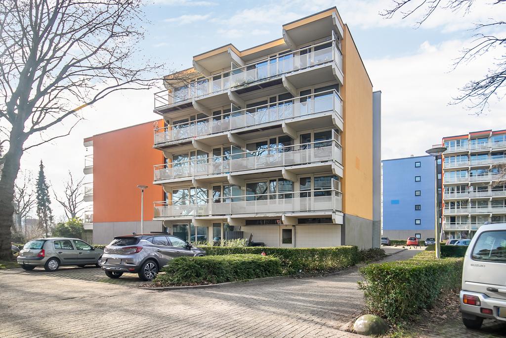 MN11575-21227-137754076