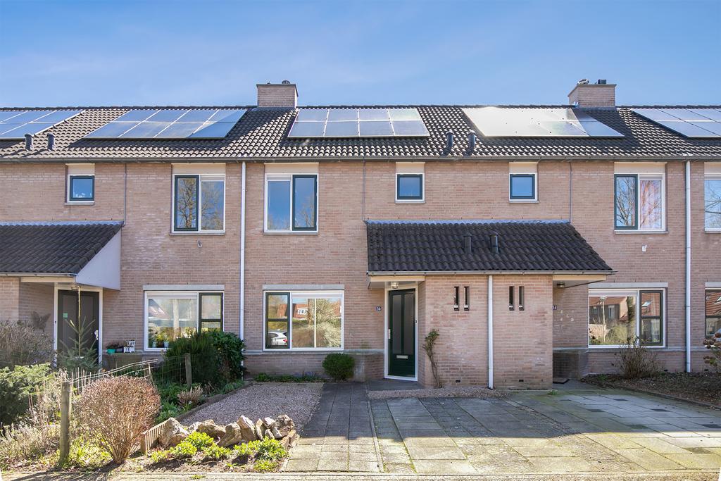 MN11583-28748-139933177