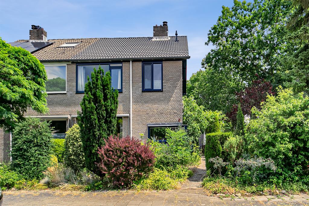 MN11608-31913-146669891