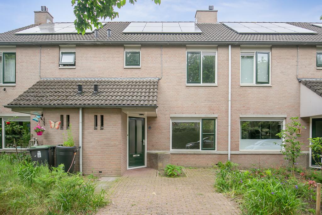MN11611-22454-Zwenkgras-6,-Malden-145278457