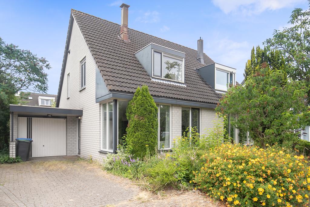 MN11612-22486-146980557