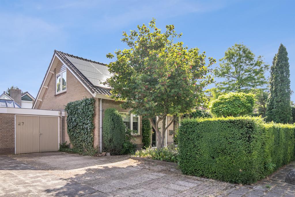 MN11614-29517-147985933