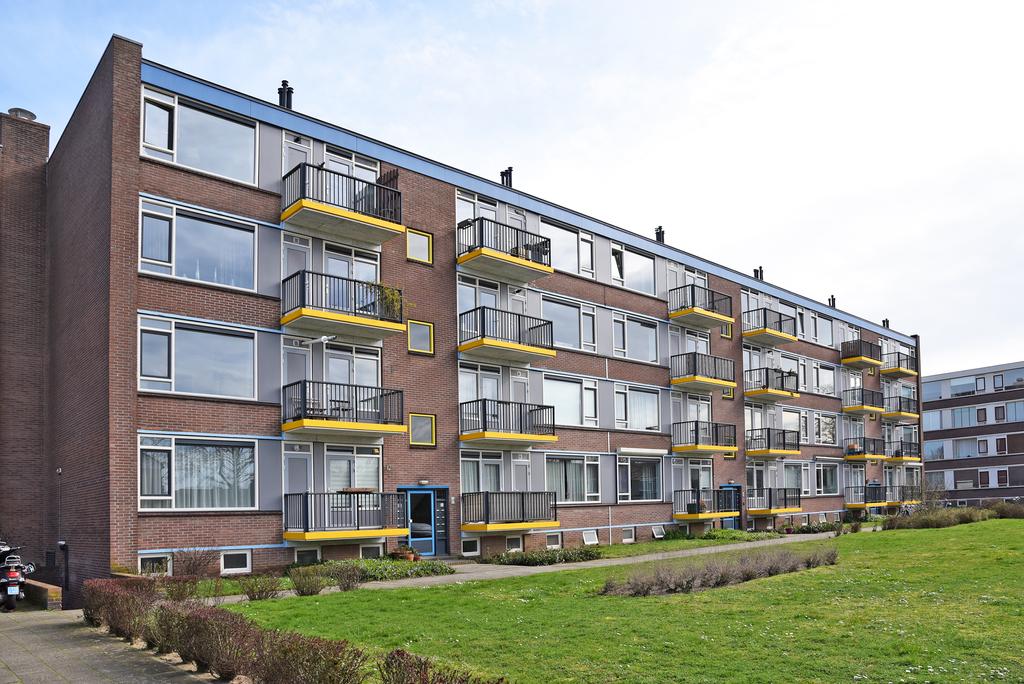 MN11641-23422-163841965