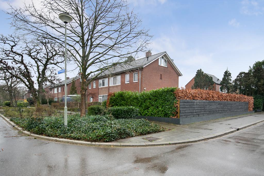 MN11659-19185-172673215