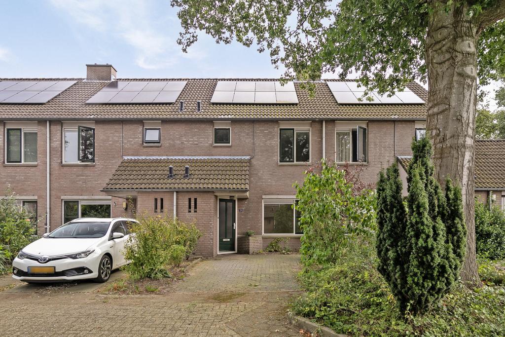 MN11694-19957-De-Bies-31,-Malden-196942611