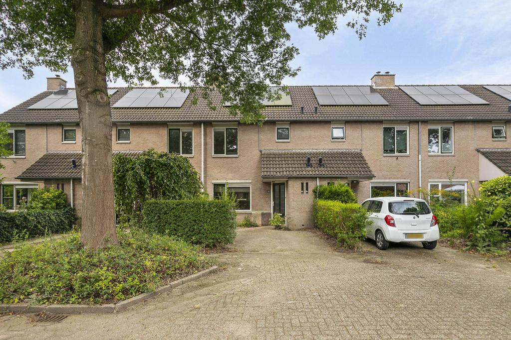 MN11695-13938-De-Bies-30,-Malden-198873841