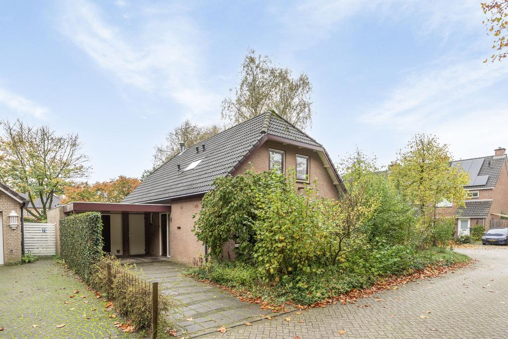 MN11710-19989-Dorsing-24,-Malden-205222361