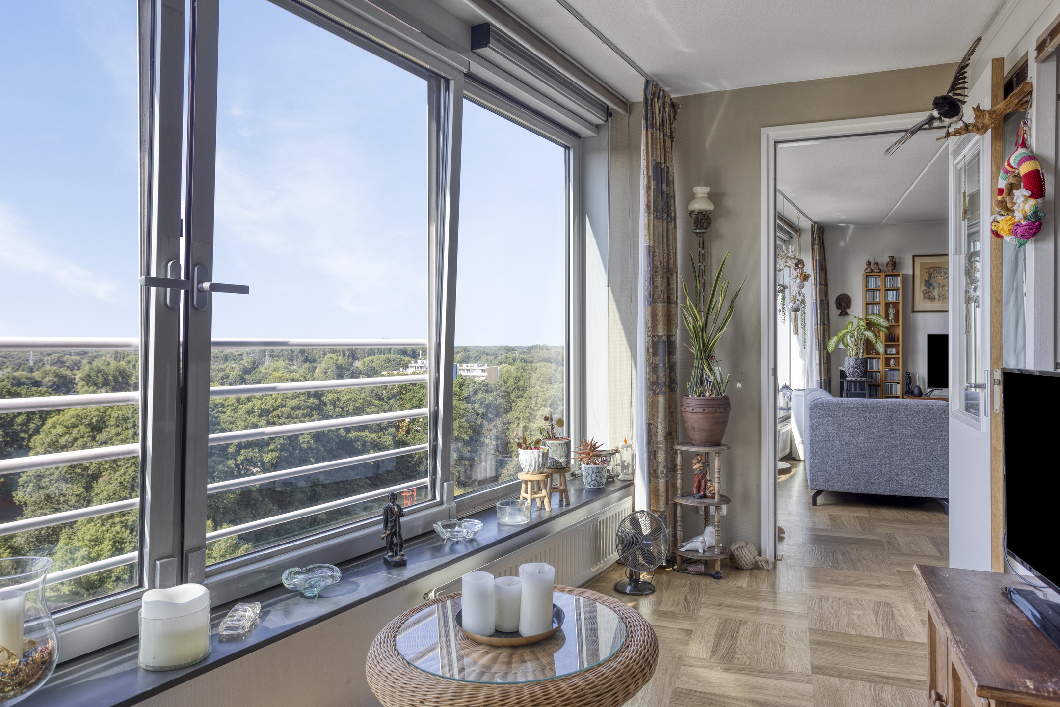 MN11762-17832-235124644