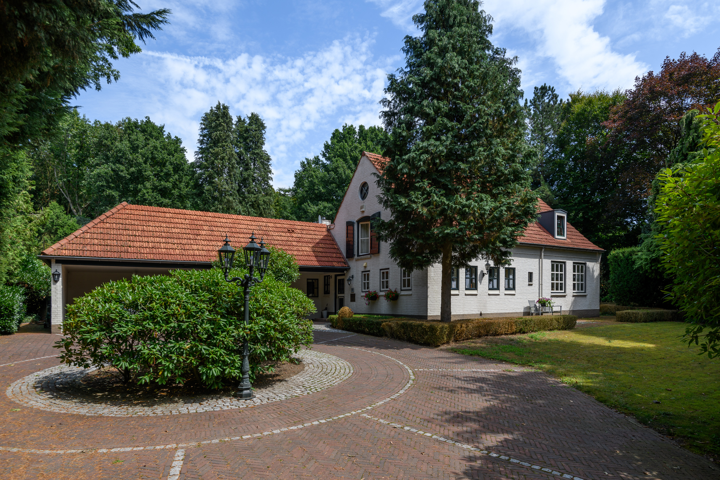 MN11771-17164-241096194