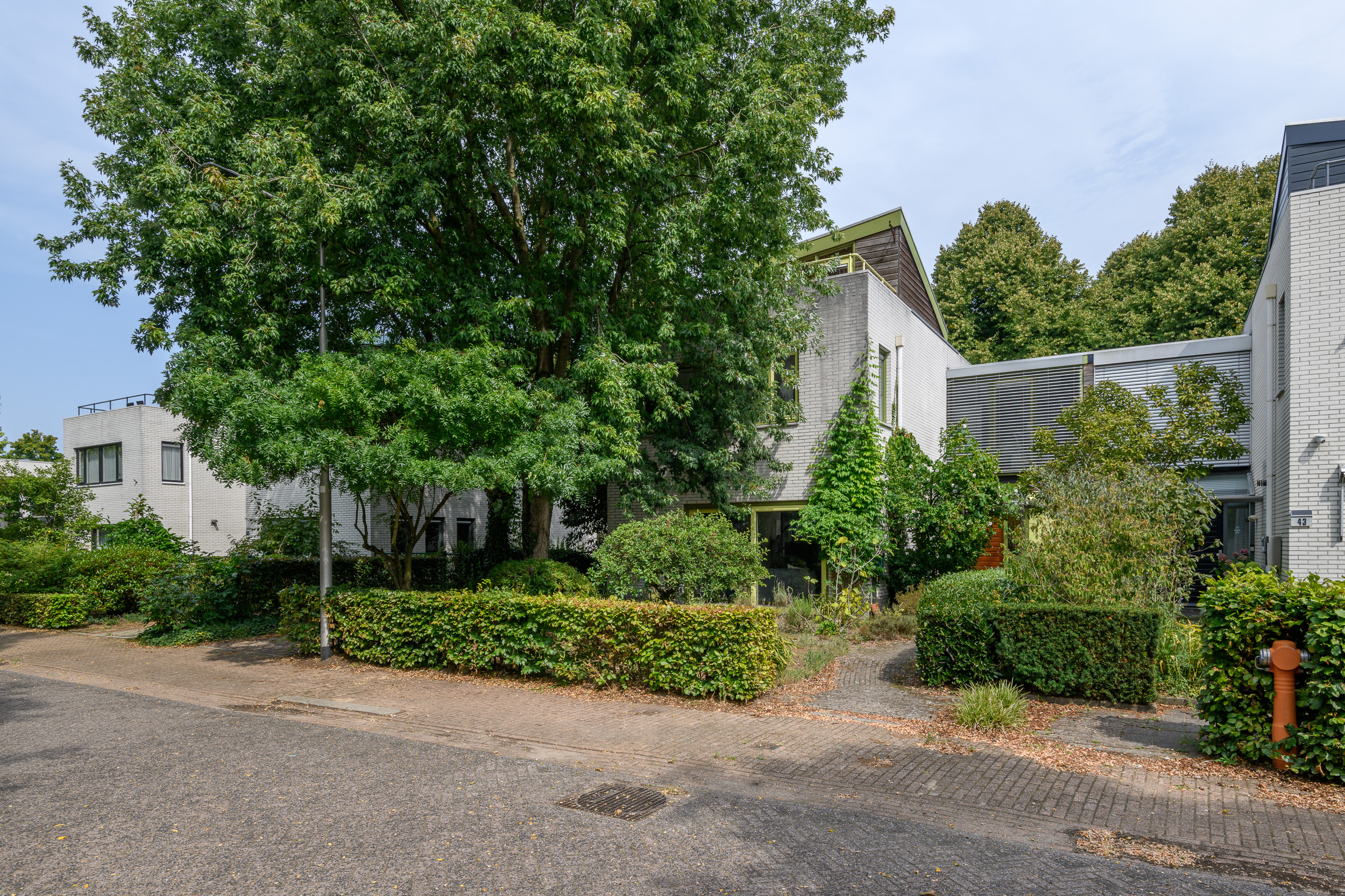 MN11775-17377-241714578