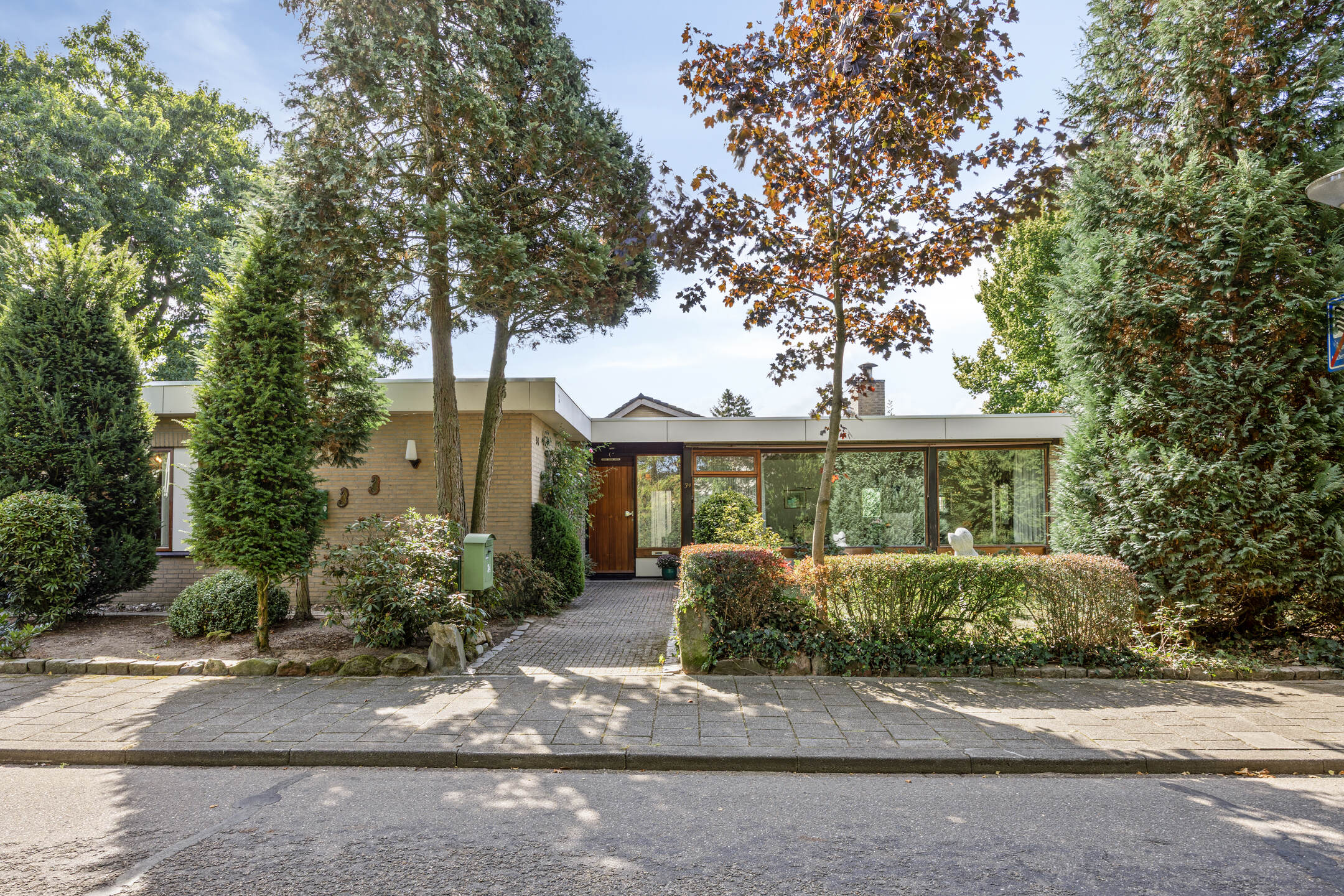 MN11777-17235-241530962