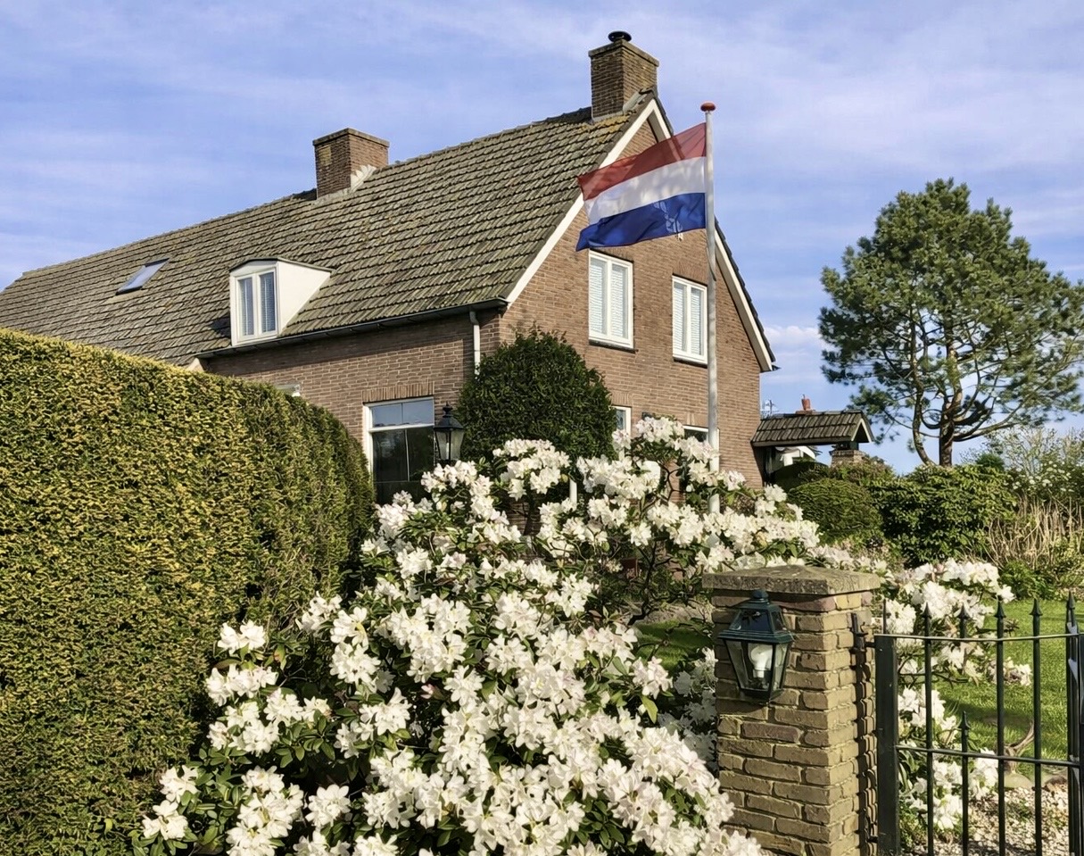 MN11833-28072-264664504