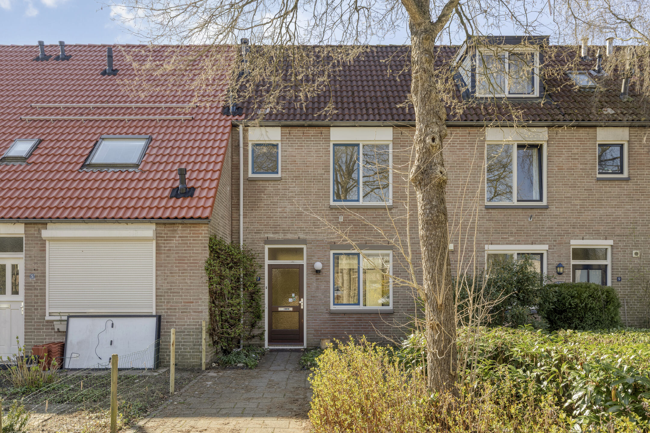 MN11841-33598-269041538